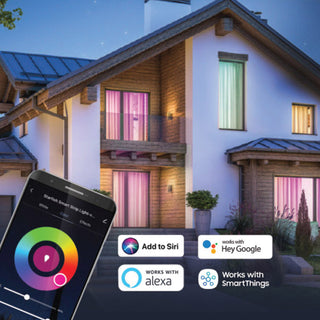 Satco Starfish Collection of Bulbs