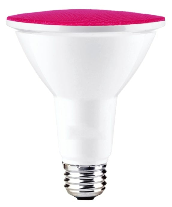 Bulbrite - 772505 - Light Bulb - Pink from Lighting & Bulbs Unlimited in Charlotte, NC