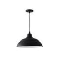 RLM Hanging Lantern by Capital Lighting