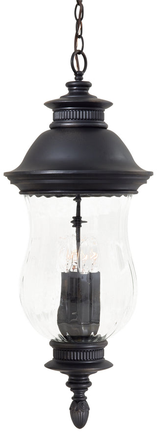 Newport Outdoor (Damp) Hanging Lanterns by Minka-Lavery