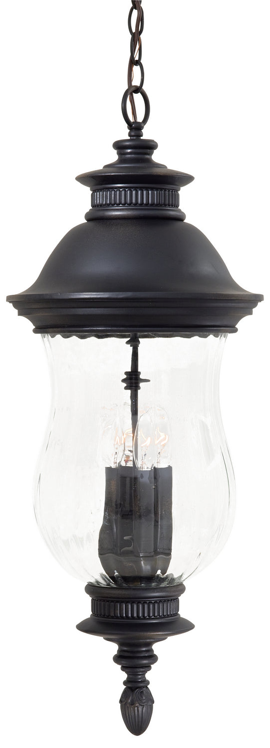 Newport Outdoor (Damp) Hanging Lanterns by Minka-Lavery