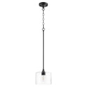 Dakota Outdoor (Damp) Pendant by Quorum
