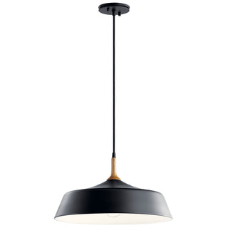 Buy black Danika Pendant by Kichler