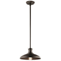 Allenbury Outdoor (Damp) Pendant by Kichler