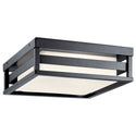 Ryler Outdoor (Damp) Ceiling Mount Light by Kichler