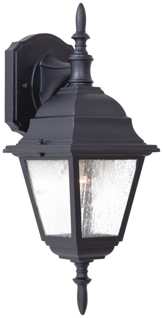 Buy black-with-clear-glass-and-clear-seedy-shade Bay Hill Outdoor (Wet) Wall Lantern by Minka-Lavery