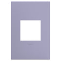 Adorne Gang Wall Plate by Legrand