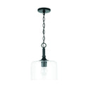 Carter Pendant by Capital Lighting