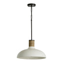 Destin Pendant by Capital Lighting