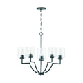 Carter Chandelier by Capital Lighting