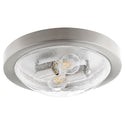 Contempo Ceiling Mounts Outdoor (Damp) Ceiling Mount Light by Quorum