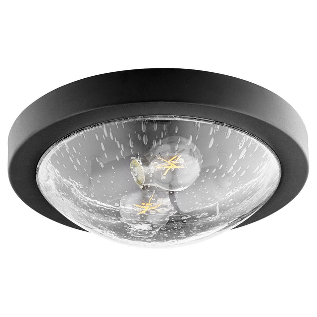 Contempo Ceiling Mounts Outdoor (Damp) Ceiling Mount Light by Quorum