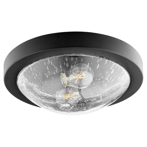 Contempo Ceiling Mounts Outdoor (Damp) Ceiling Light by Quorum