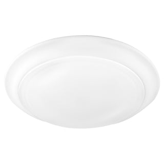 Wet Ceiling Mounts Outdoor (Damp) Ceiling Light by Quorum