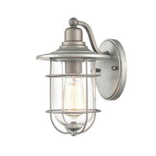 Buy galvanized-with-clear-glass Outdoor (Wet) Wall Lanterns by Millennium