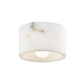 Loris Outdoor (Damp) Flush Mount Ceiling Light by Hudson Valley
