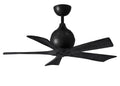 Irene- Ceiling Fan by Matthews Fan Company