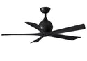 Irene- Ceiling Fan by Matthews Fan Company