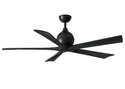 Irene- Ceiling Fan by Matthews Fan Company