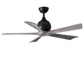 Irene- Ceiling Fan by Matthews Fan Company