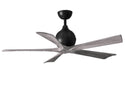Irene- Ceiling Fan by Matthews Fan Company