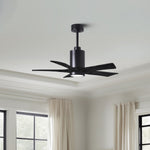 Matthews Fan Company-PA5-BK-BK-42|ALT|3