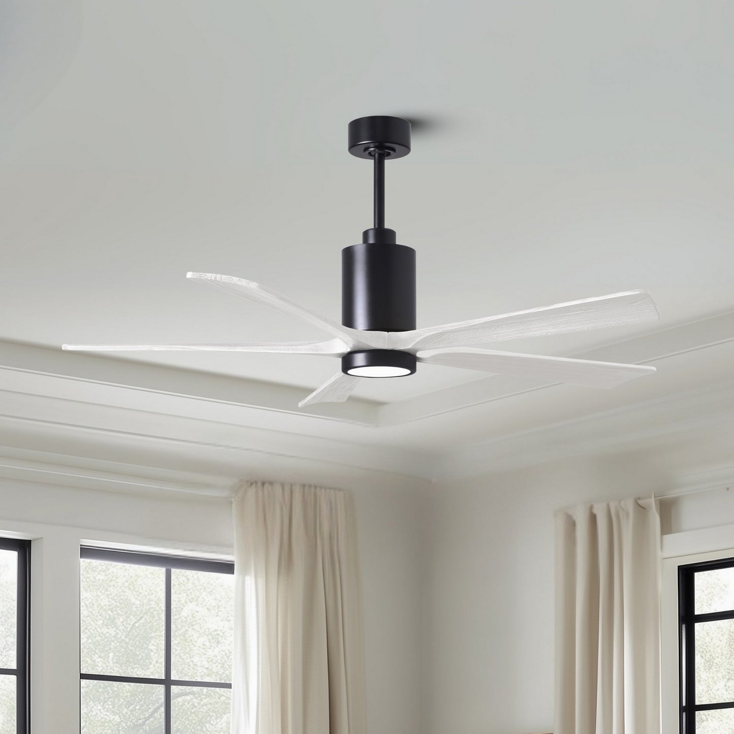 Matthews Fan Company-PA5-BK-MWH-60|ALT|3