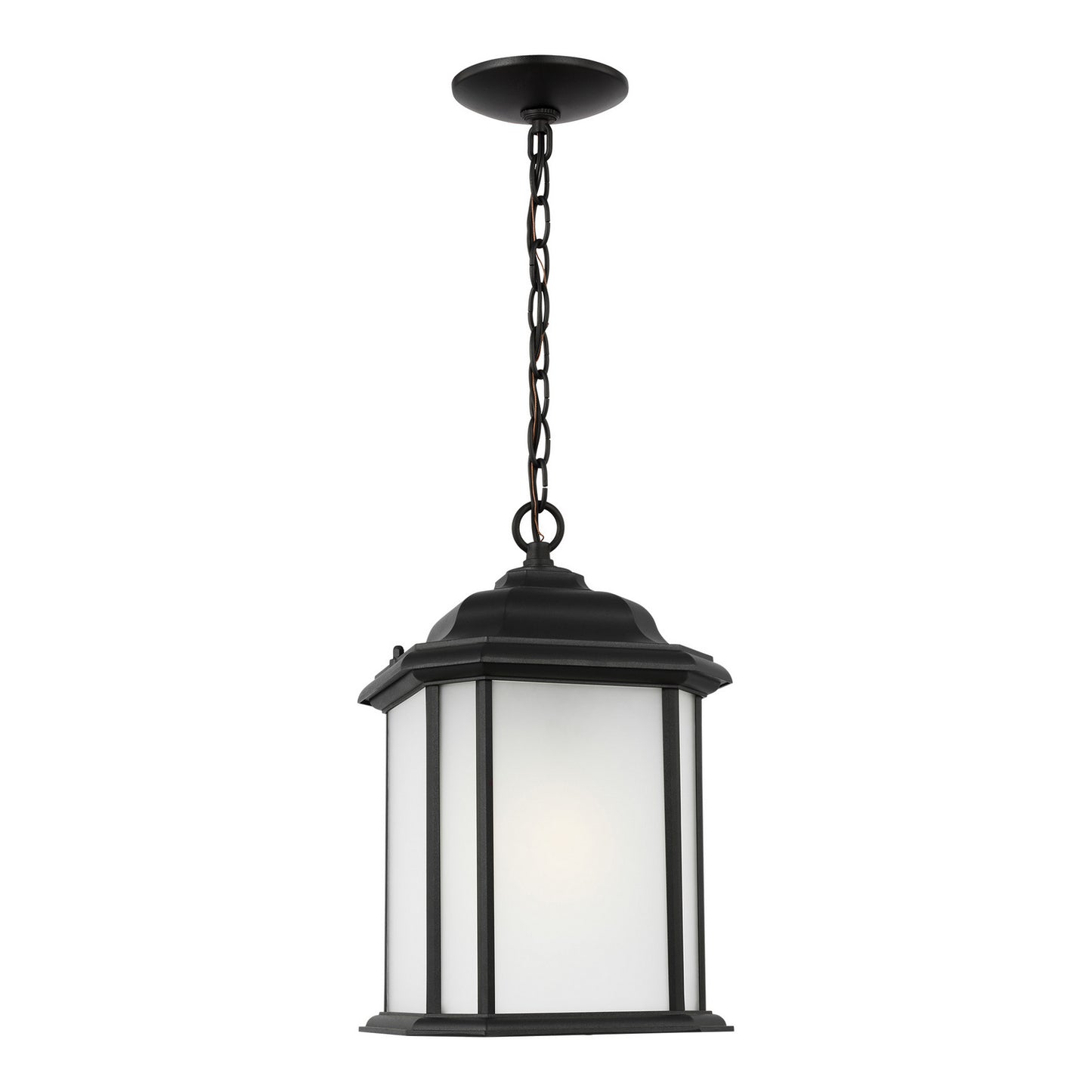 Generation Lighting-60531EN3-12|MAIN
