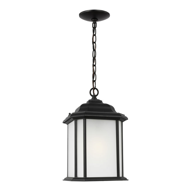 Generation Lighting-60531EN3-12|MAIN