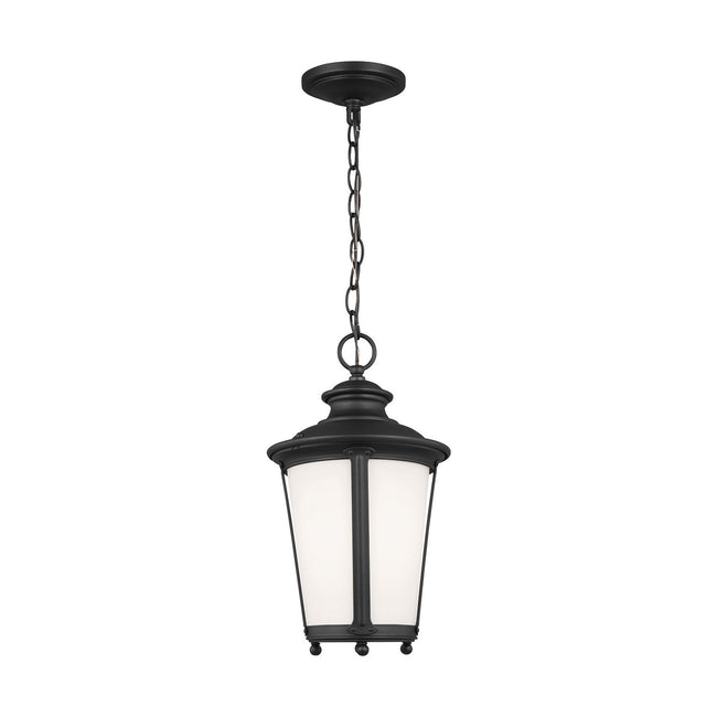 Generation Lighting-62240-12|ALT|1