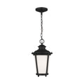Cape May Outdoor (Damp) Hanging Lanterns by Generation Lighting
