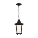 Cape May Outdoor (Damp) Hanging Lanterns by Generation Lighting