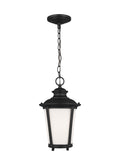 Cape May Outdoor (Damp) Hanging Lanterns by Generation Lighting