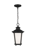 Cape May Outdoor (Damp) Hanging Lanterns by Generation Lighting