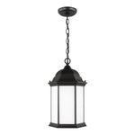 Generation Lighting-6238751-12|MAIN