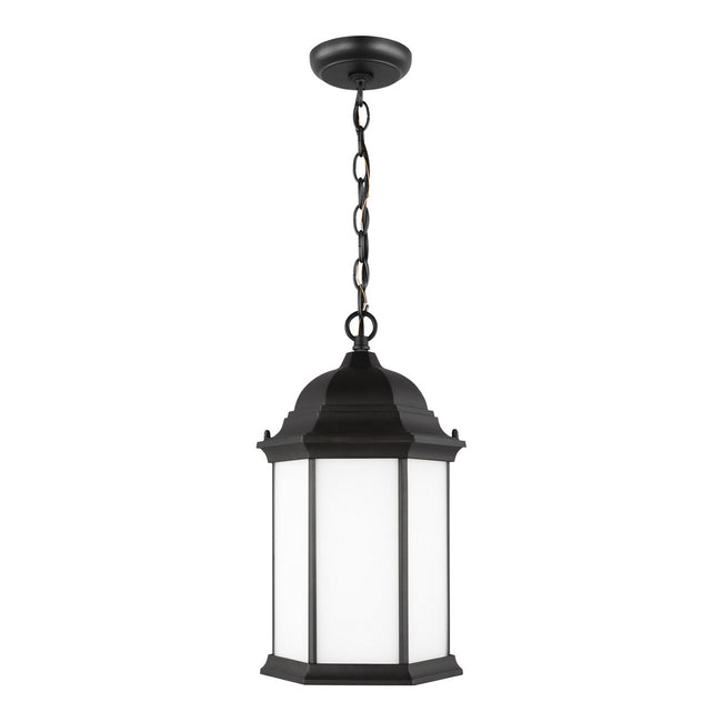 Generation Lighting-6238751-12|MAIN