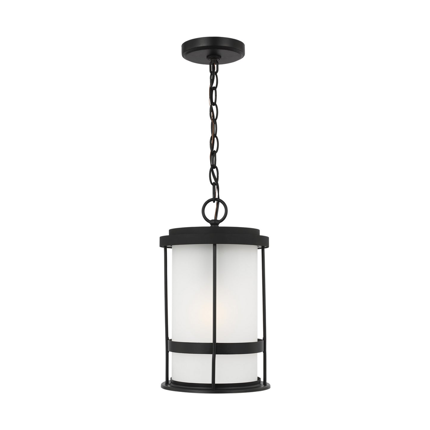 Generation Lighting-6290901-12|MAIN