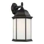 Generation Lighting-8438751-71|ALT|1