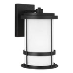 Generation Lighting-8690901D-12|ALT|1