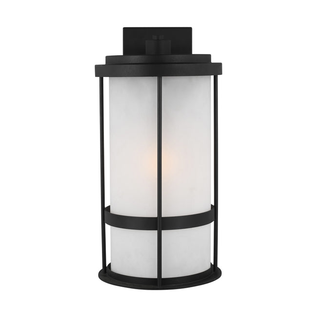 Generation Lighting-8790901-12|MAIN