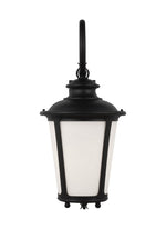 Generation Lighting-88243EN3-12|MAIN