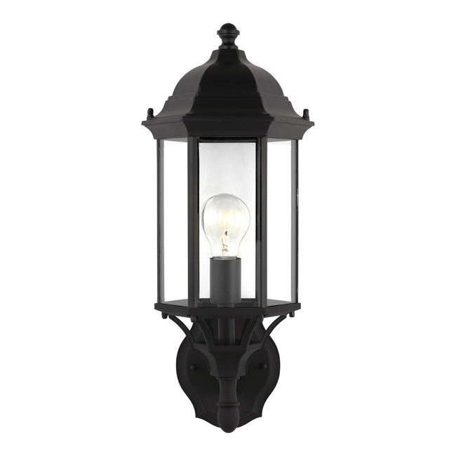 Generation Lighting-8838701-12|MAIN