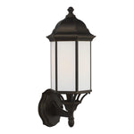 Generation Lighting-8838751-71|ALT|1