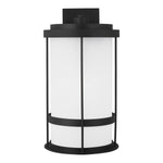 Generation Lighting-8890901D-12|MAIN