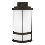 Generation Lighting-8890901D-71|MAIN