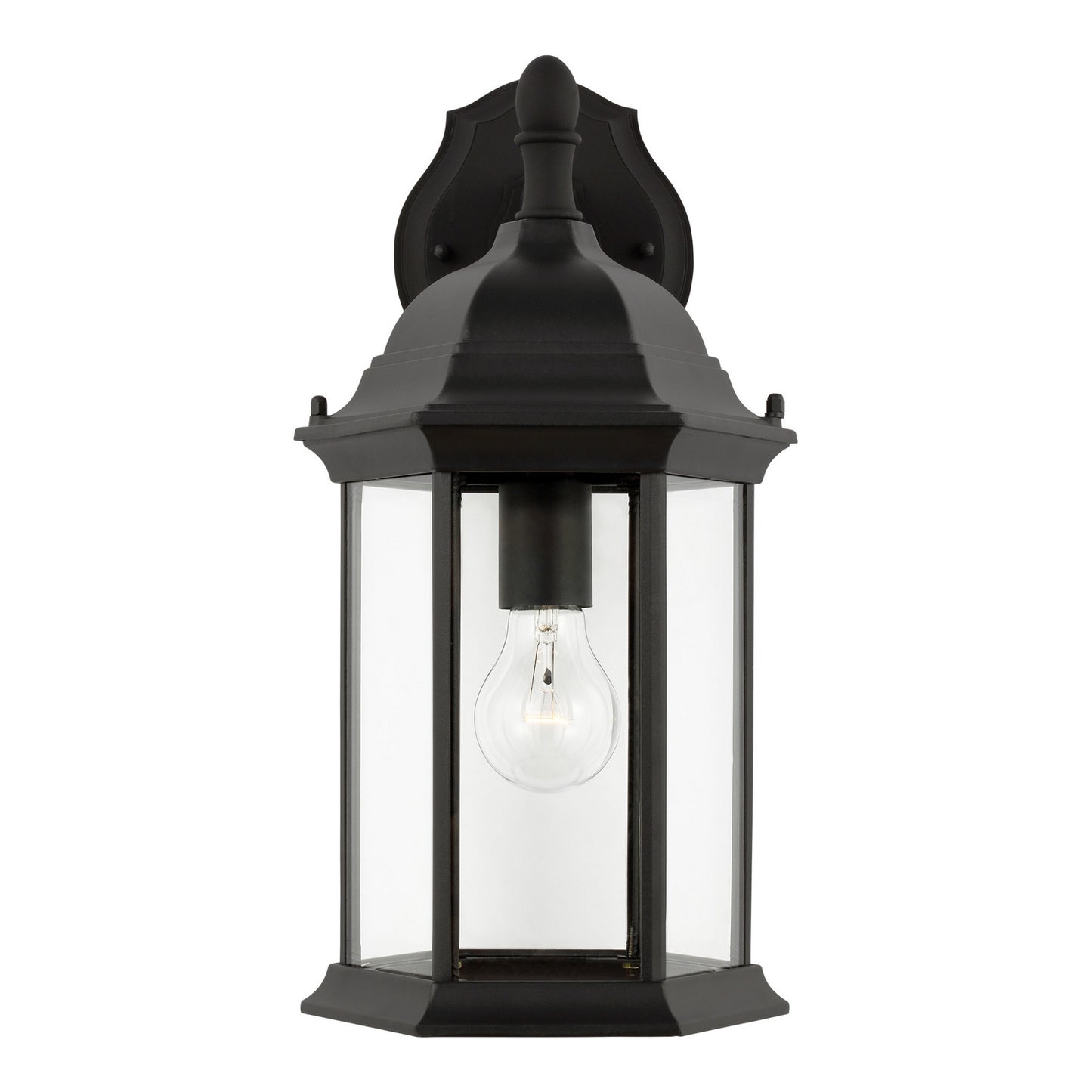 Generation Lighting-8938701-12|MAIN