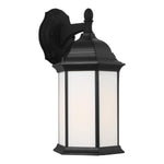 Generation Lighting-8938751-12|ALT|1
