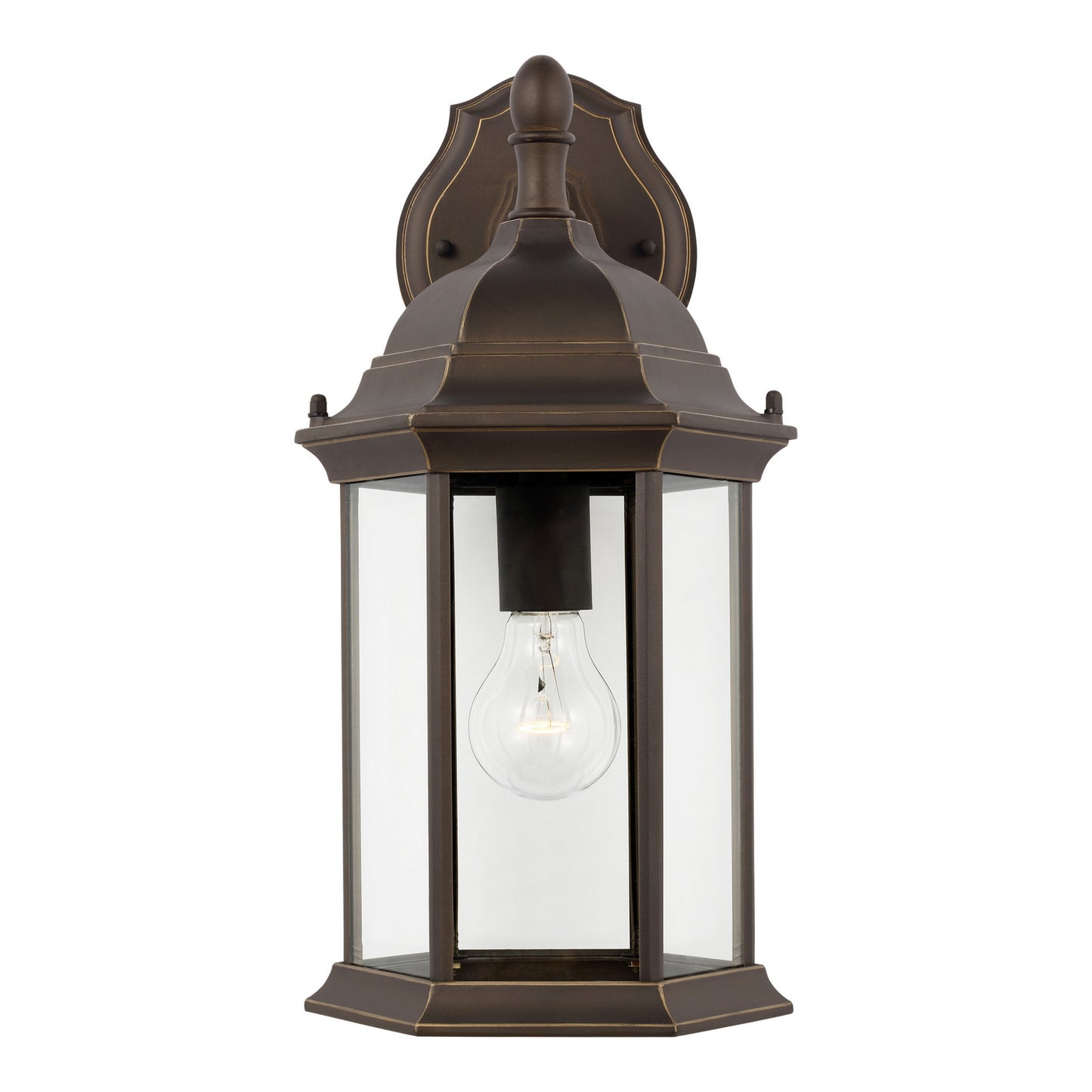 Generation Lighting-8938751-71|MAIN