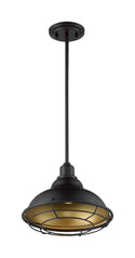 Newbridge Outdoor (Damp) Pendant by Nuvo Lighting