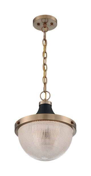 Buy burnished-brass-black-accents-with-clear-glass Faro Pendant by Nuvo Lighting
